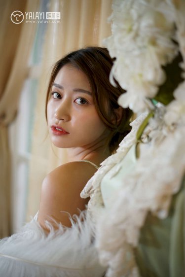 康熙王朝50集在線觀看免費