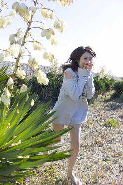 《水菜麗種子》