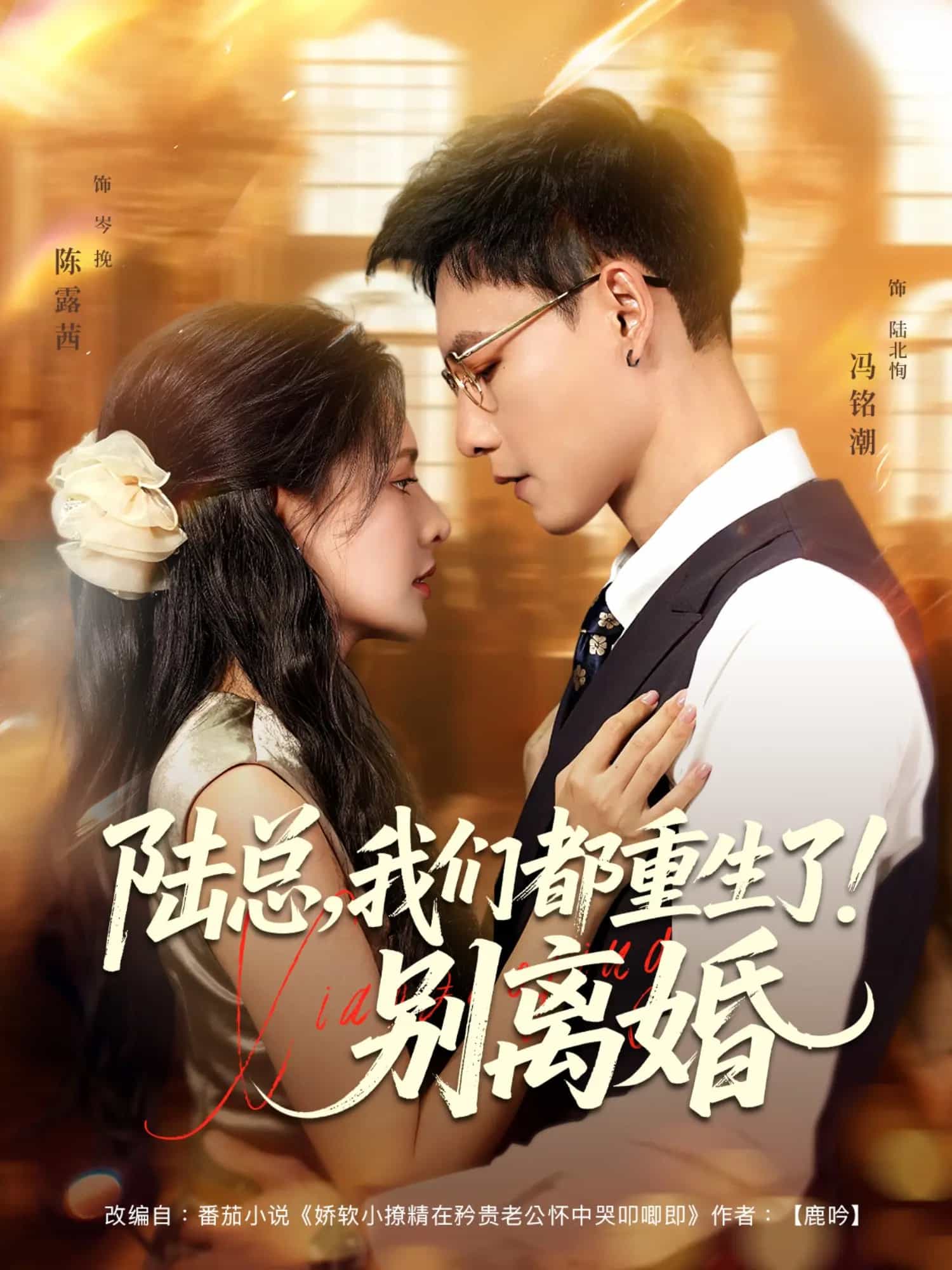 陸總我們都重生了別離婚